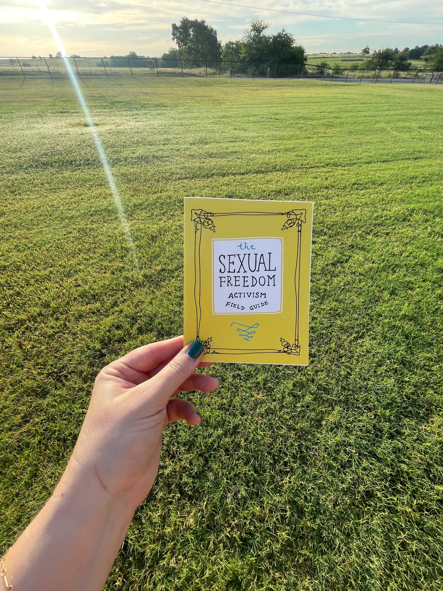 Sexual Freedom Activism Field Guide Zine | Sex Education